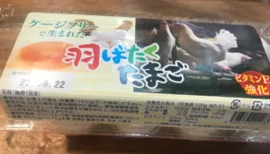 羽ばたくたまご