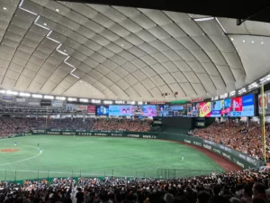 1塁側指定席Bエリア