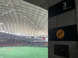 一塁側指定席Bエリア