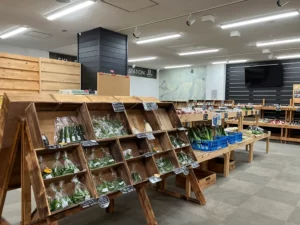 さっぽろばんけいスキー場