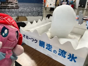 オホーツク　網走の流氷