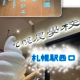 ここでしか食べられない‼【JR札幌駅】ミルクソフトの紹介・感想ブログ
