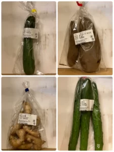 ふるさと納税　野菜　宮崎県綾町