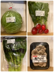 宮崎県綾町　ふるさと納税　野菜