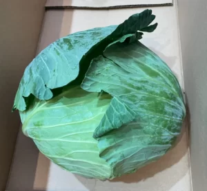 旬の野菜セット　阿蘇市　キャベツ