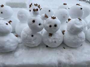 無料　雪だるま　体験