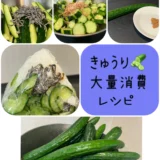 大量消費！【きゅうり🥒】北海道産の野菜レシピの紹介 ブログ