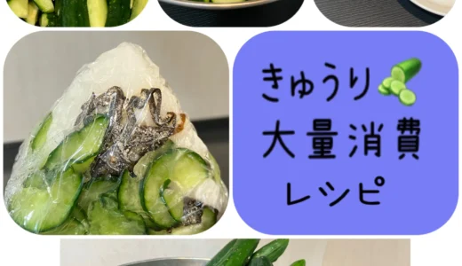 大量消費！【きゅうり🥒】北海道産の野菜レシピの紹介 ブログ