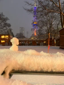 HOKKAIDO　ゆきだるま　冬　イルミネーション