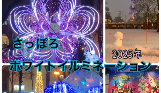 まさに、宝石箱の中‼キラキラ輝く✨イルミネーション✨【HOKKAIDO】