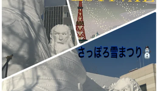 2026年‼今年も行ってきました♬魅力いっぱい⛄さっぽろ雪まつり