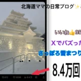 Xでバズった！「会津 鶴ヶ城」さっぽろ雪まつりの紹介ブログ