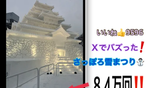 Xでバズった！「会津 鶴ヶ城」さっぽろ雪まつりの紹介ブログ